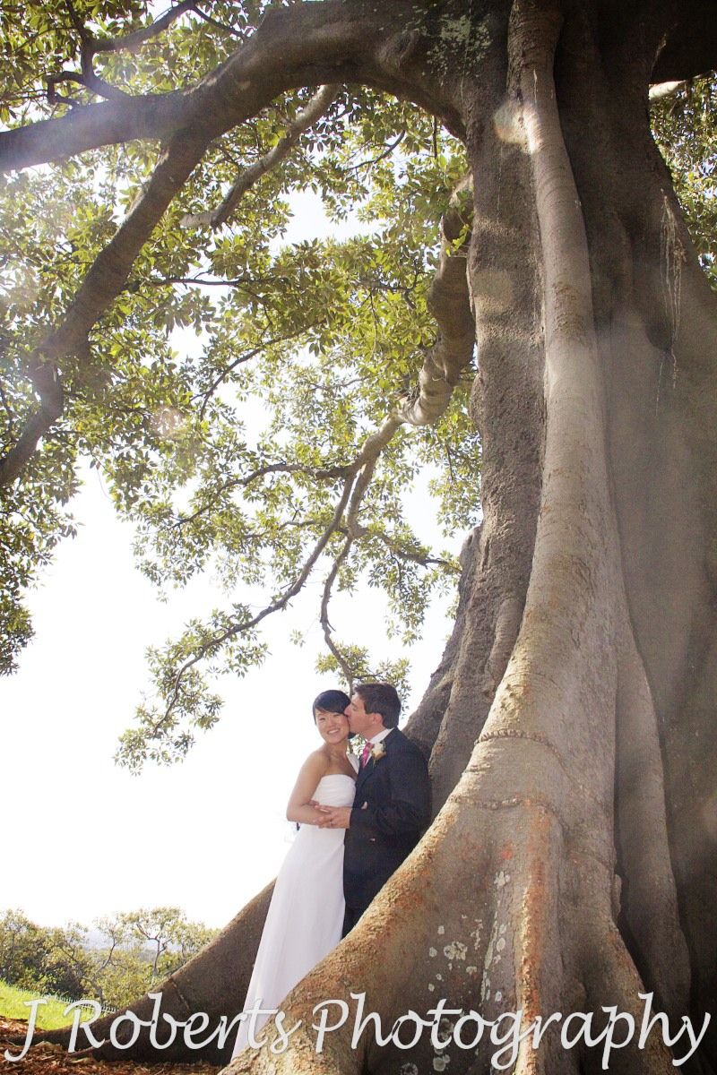 Groom kissing bride under fig trees at observatory hill - wedding photography sydney